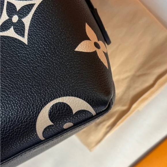 Louis Vuitton Bicolor Petite Palais Sold - Picture 16 of 16